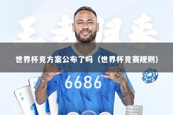 世界杯竞方案公布了吗（世界杯竞赛规则）