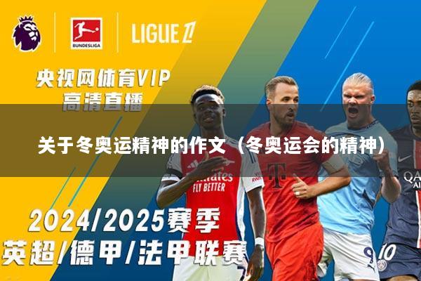 关于冬奥运精神的作文（冬奥运会的精神）