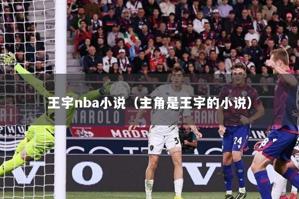 王宇nba小说（主角是王宇的小说）