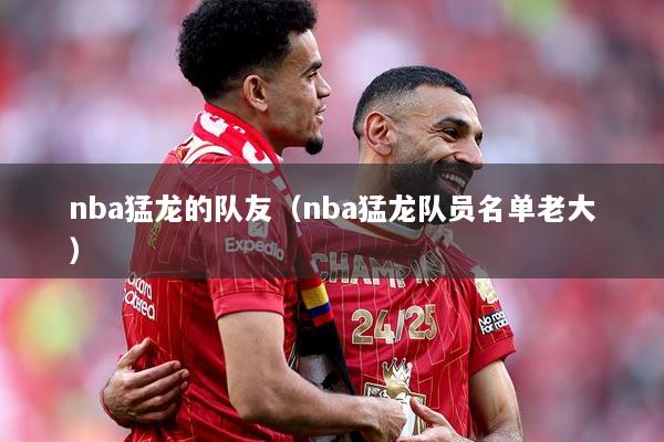 nba猛龙的队友（nba猛龙队员名单老大）