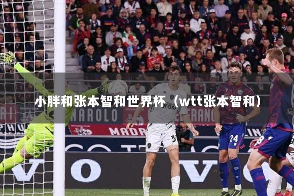 小胖和张本智和世界杯(wtt张本智和)