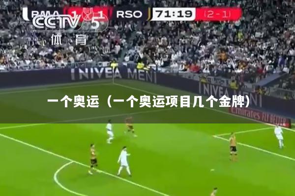 一个奥运（一个奥运项目几个金牌）