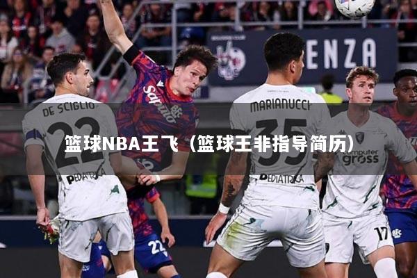 篮球NBA王飞（篮球王非指导简历）