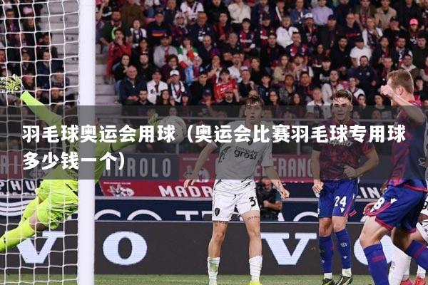 羽毛球奥运会用球（奥运会比赛羽毛球专用球多少钱一个）