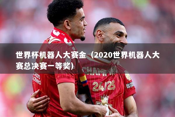 世界杯机器人大赛金（2020世界机器人大赛总决赛一等奖）