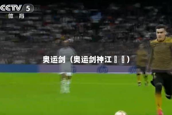 奥运剑（奥运剑神江旻憓）