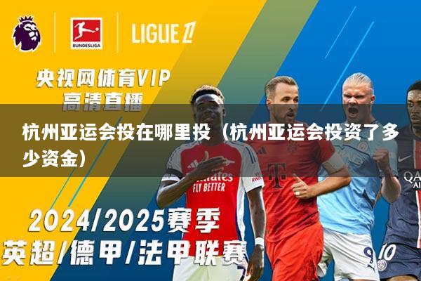 杭州亚运会投在哪里投（杭州亚运会投资了多少资金）