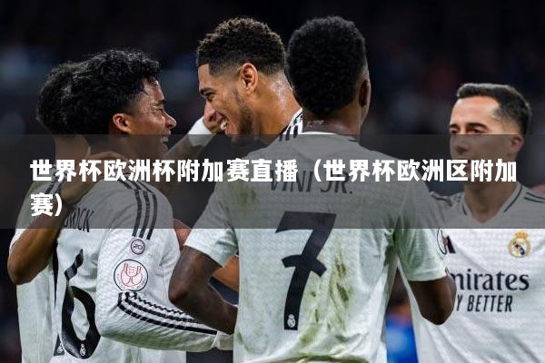 世界杯欧洲杯附加赛直播（世界杯欧洲区附加赛）